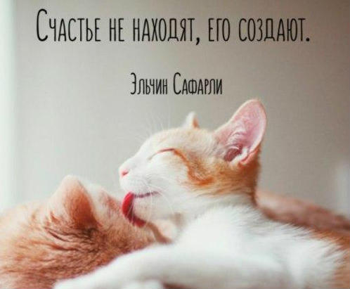 Счастье не находят, счастье